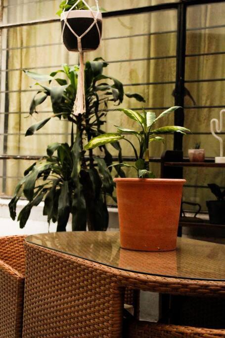 New Mex Inspired Bo-Ho Chic Apartment With Private Patio And Roof Terrace Cidade do México Exterior foto