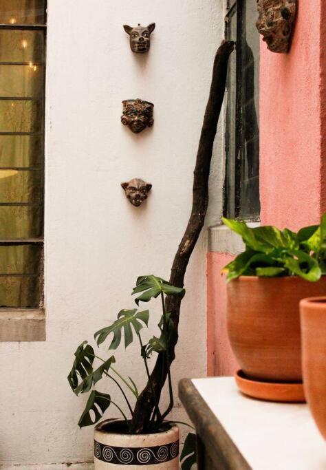 New Mex Inspired Bo-Ho Chic Apartment With Private Patio And Roof Terrace Cidade do México Exterior foto
